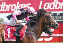 American Liaison wins Quality