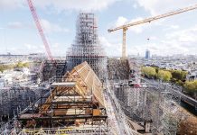 Forestry’s role in Notre Dame rebuild
