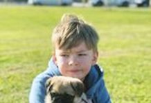 Yarram dog show returns