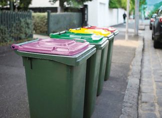 Council renews its call for flexibility on mandatory glass recycling bin
