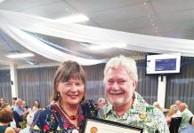 Saying no to domestic violence