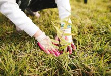 Landcare grants now open