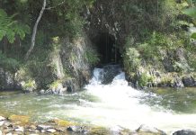 Ben Cruachan club out and about near Walhalla