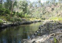 Hikers Gold unearthed near Walhalla