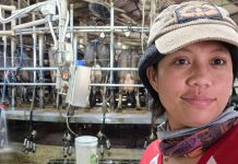 GoFundMe page for Maffra car crash victim Maridel De Ocampo