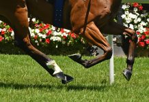 Two horses from Sale won at Bairnsdale Cup