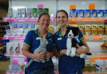 Adoption month at Petstock Sale