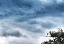 Gippsland Jersey breeders to host tour