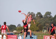 Swans stun Bombers