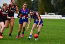 Wildcats, Bulldogs hit their stride