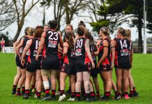 Bombers, Swampies rivalry reignites