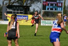 Hitting the field for a new season