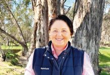 Farm sector confidence rises