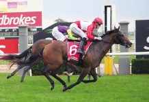 Easter treats for racegoers at Sale