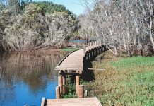 Funding committed for boardwalk