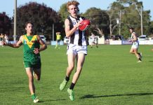 Parrots prevail over Pies