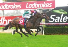 Great showing for local runners at Greenwattle