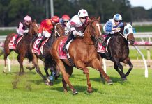 Easter Sunday racing at Sale Turf Club
