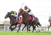 Sale Turf Club honours Helen Cantwell at Greenwattle Racecourse