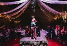 Take in the ‘Dark Side of Shakespeare’ at Stratford festival