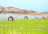 Irrigation expo returns this month