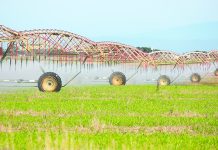 Irrigation expo returns this month
