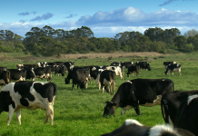 Funding for agtech research projects