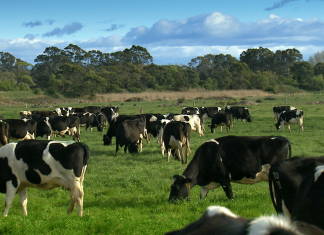Funding for agtech research projects