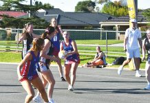 Cougars win one-goal thriller, Bombers shake up ladder