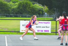 Wildcats keep winning in NGFNL