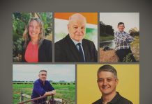 Federal election, live