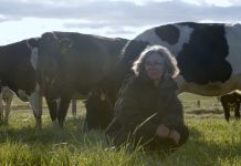 Finding greener pastures in Clydebank