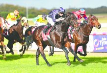 Midweek racing at Greenwattle