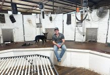 Cobber Challange calling on dogs across Gippsland