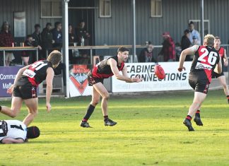 Bombers safe, Swans in doubt – EGFNL
