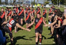 Swans, Bombers record wins while EGFNL stalwart celebrates 350th game