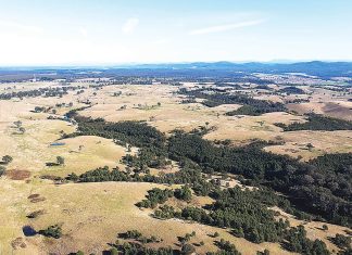 Work at Fingerboards Project Mining and Rehabilitation Demonstration Pit has begun