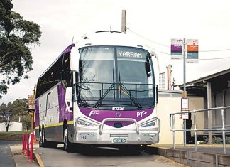 Public transport free for kids