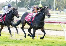 Thrilling racing win Clinched
