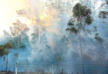 Winter fire danger remains