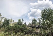 Two new exhibitions at Briag art gallery this Saturday