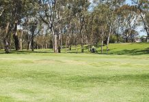 Park, streets await new names: Council beat