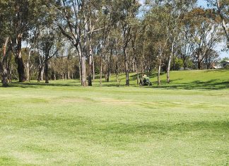 Council beat December 2: Place names on agenda