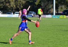 Swampies surge past Bombers: FFG