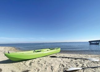 Algal bloom linked to fish deaths