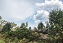 Local artists showcased at Briag