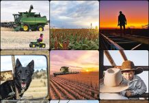 Capture bush spirit with Rural Aid’s Spirit of the Bush photo competition