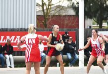 EGFNL A grade grand finalist player profiles