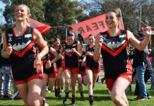 Looking back on the past year (2025)