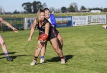 Wildcats make FFG finals in debut season